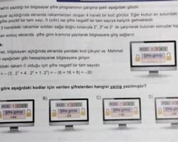 Termometre Hataları ve Doğru Sonuçlar İçin İpuçları