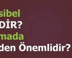 Desibel Metreleri Neden Kullanılır? Önemi ve Faydaları